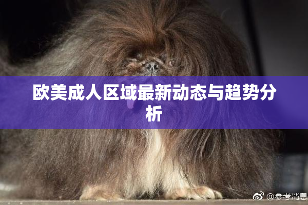 欧美成人区域最新动态与趋势分析
