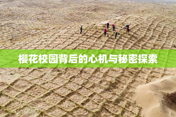 樱花校园背后的心机与秘密探索