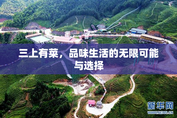 三上有菜，品味生活的无限可能与选择