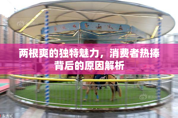 两根爽的独特魅力，消费者热捧背后的原因解析