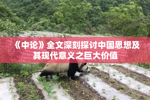 《中论》全文深刻探讨中国思想及其现代意义之巨大价值