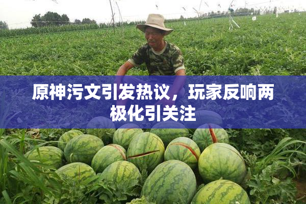原神污文引发热议，玩家反响两极化引关注