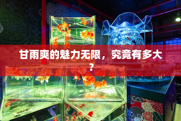 甘雨爽的魅力无限，究竟有多大？