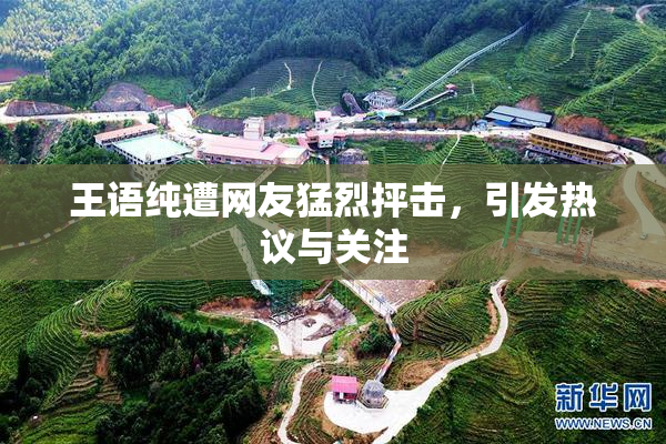 王语纯遭网友猛烈抨击，引发热议与关注