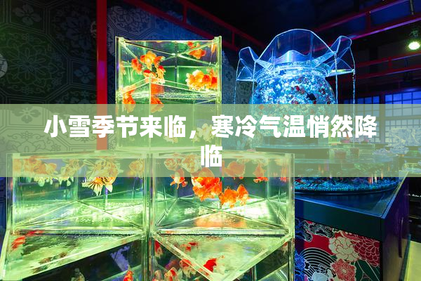 小雪季节来临，寒冷气温悄然降临