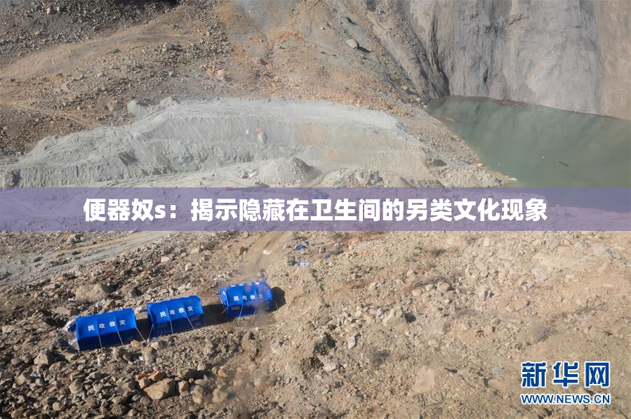 便器奴s：揭示隐藏在卫生间的另类文化现象