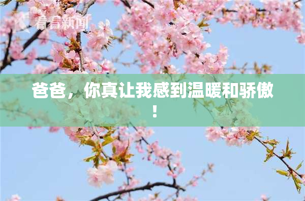 爸爸，你真让我感到温暖和骄傲！