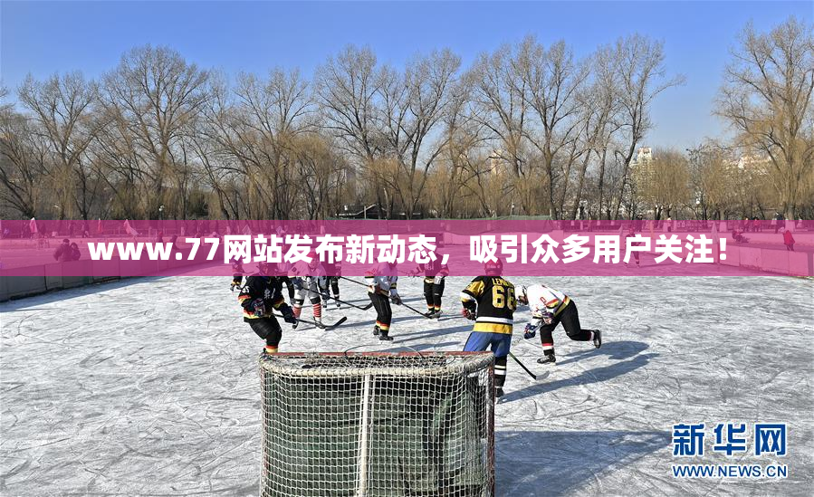 www.77网站发布新动态，吸引众多用户关注！