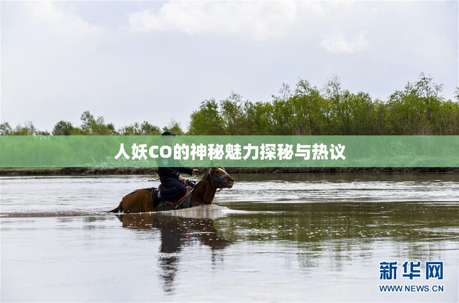 人妖CO的神秘魅力探秘与热议
