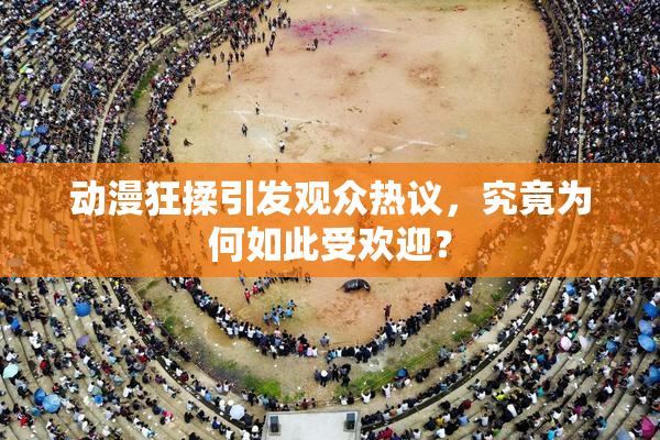动漫狂揉引发观众热议，究竟为何如此受欢迎？