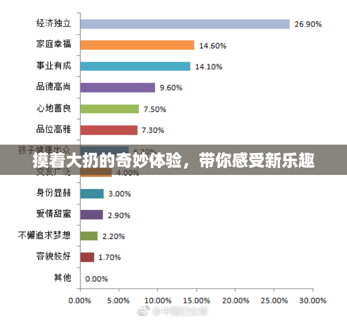 摸着大扔的奇妙体验，带你感受新乐趣