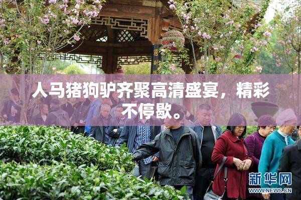 人马猪狗驴齐聚高清盛宴，精彩不停歇。