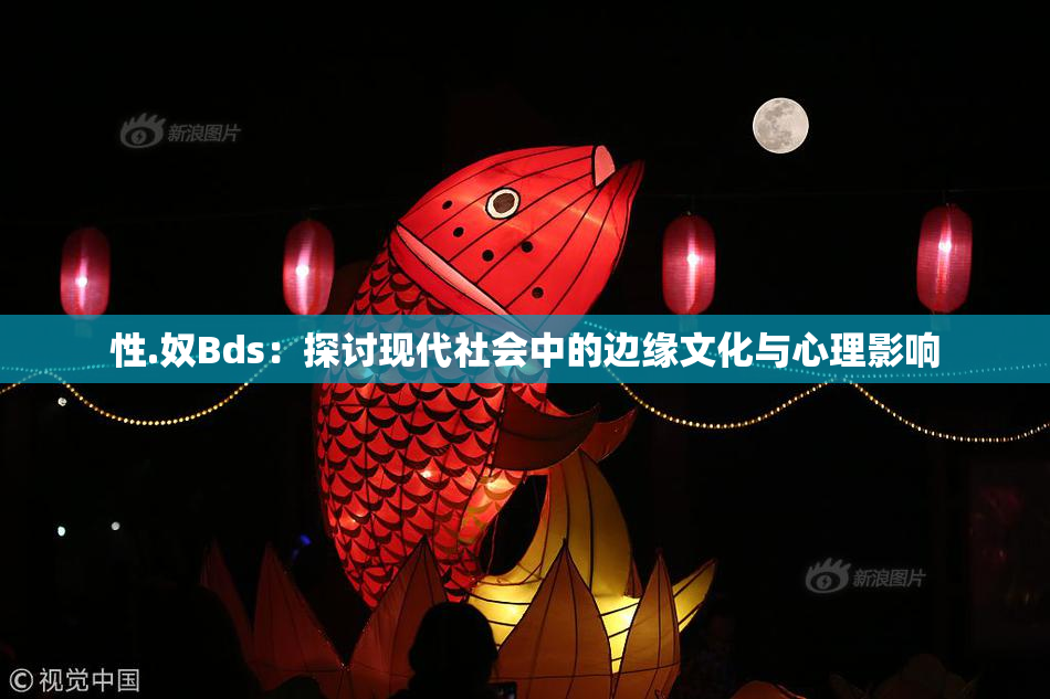 性.奴Bds：探讨现代社会中的边缘文化与心理影响