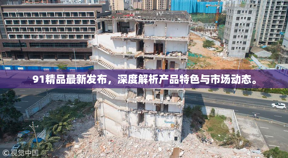 91精品最新发布，深度解析产品特色与市场动态。
