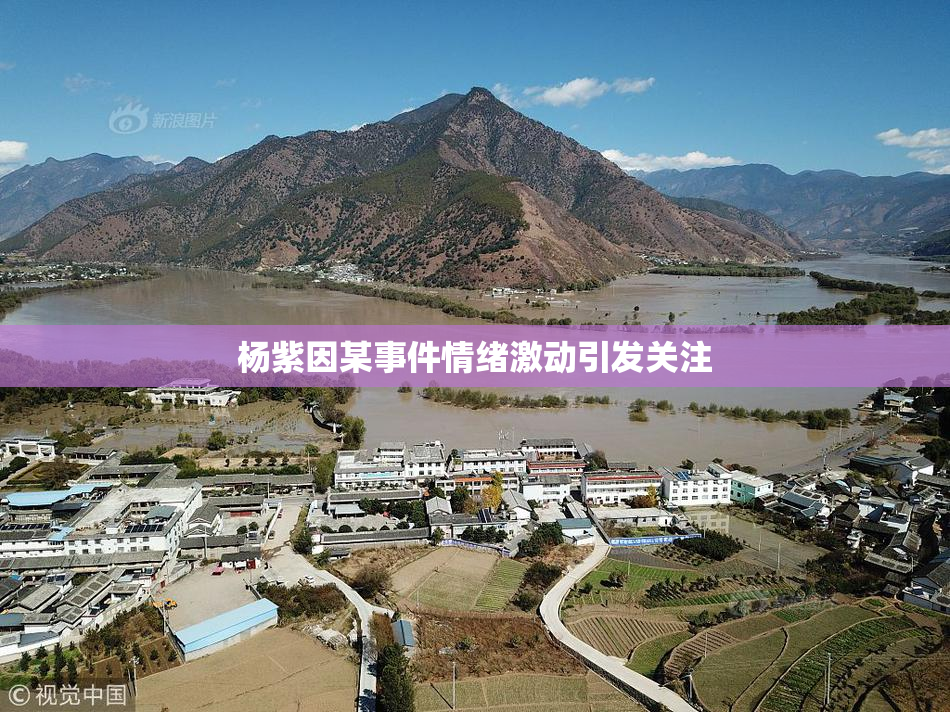 杨紫因某事件情绪激动引发关注