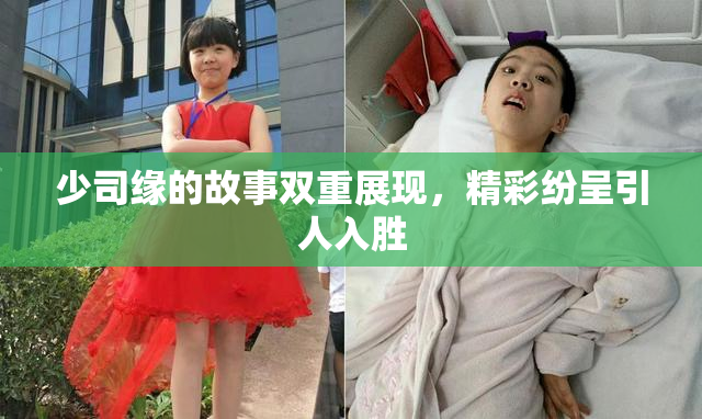 少司缘的故事双重展现，精彩纷呈引人入胜