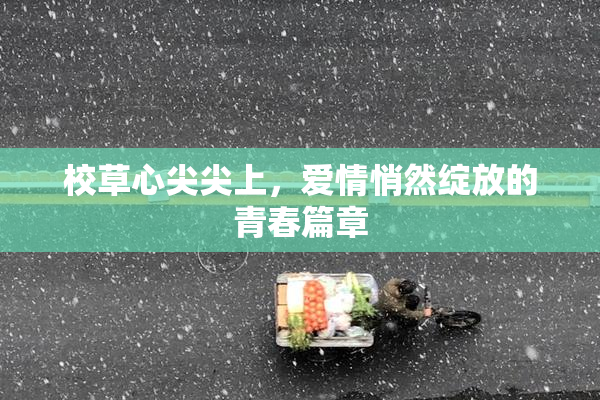 校草心尖尖上，爱情悄然绽放的青春篇章