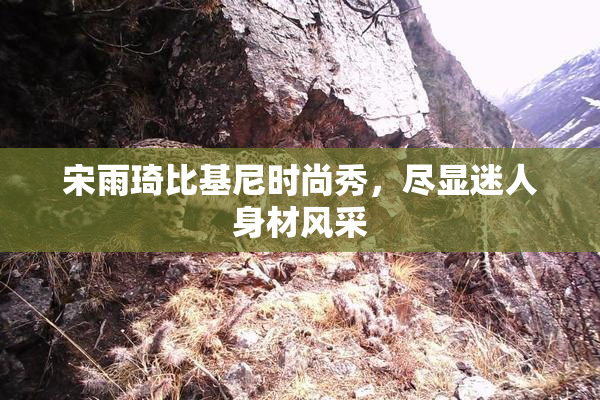 宋雨琦比基尼时尚秀，尽显迷人身材风采