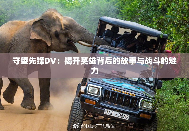 守望先锋DV：揭开英雄背后的故事与战斗的魅力