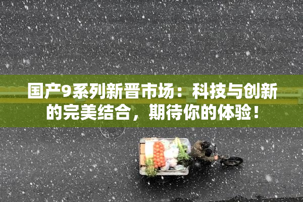 国产9系列新晋市场：科技与创新的完美结合，期待你的体验！