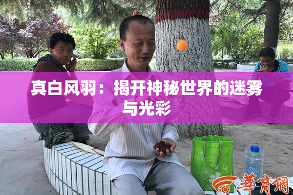 真白风羽：揭开神秘世界的迷雾与光彩