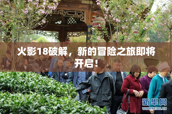 火影18破解，新的冒险之旅即将开启！