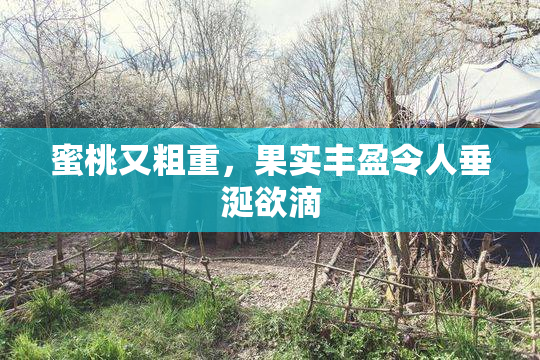 蜜桃又粗重，果实丰盈令人垂涎欲滴