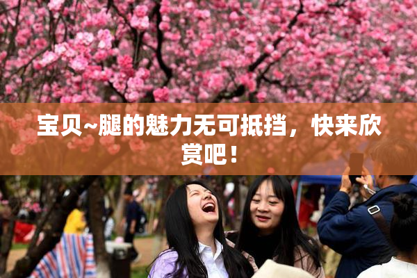 宝贝~腿的魅力无可抵挡，快来欣赏吧！