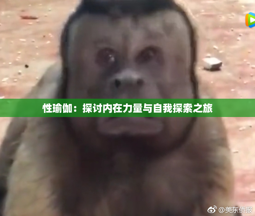 性瑜伽：探讨内在力量与自我探索之旅