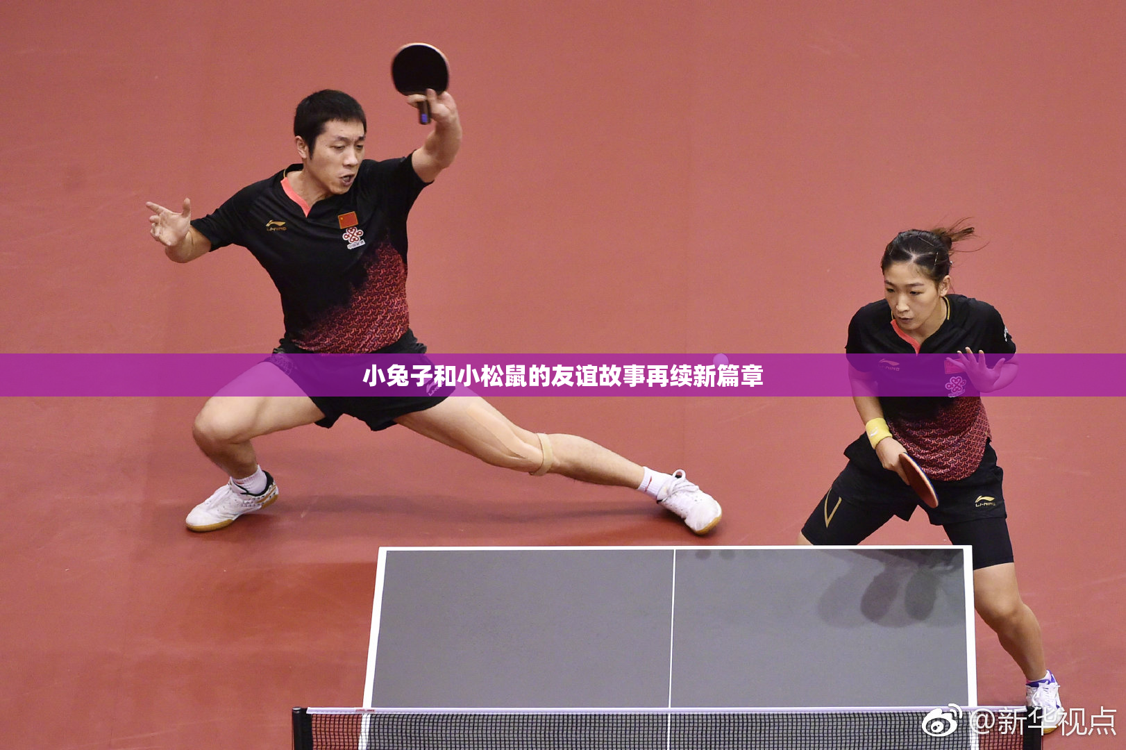 小兔子和小松鼠的友谊故事再续新篇章
