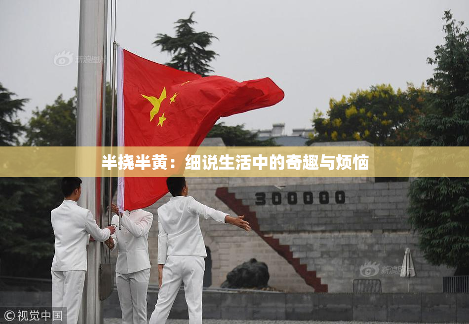 半挠半黄：细说生活中的奇趣与烦恼