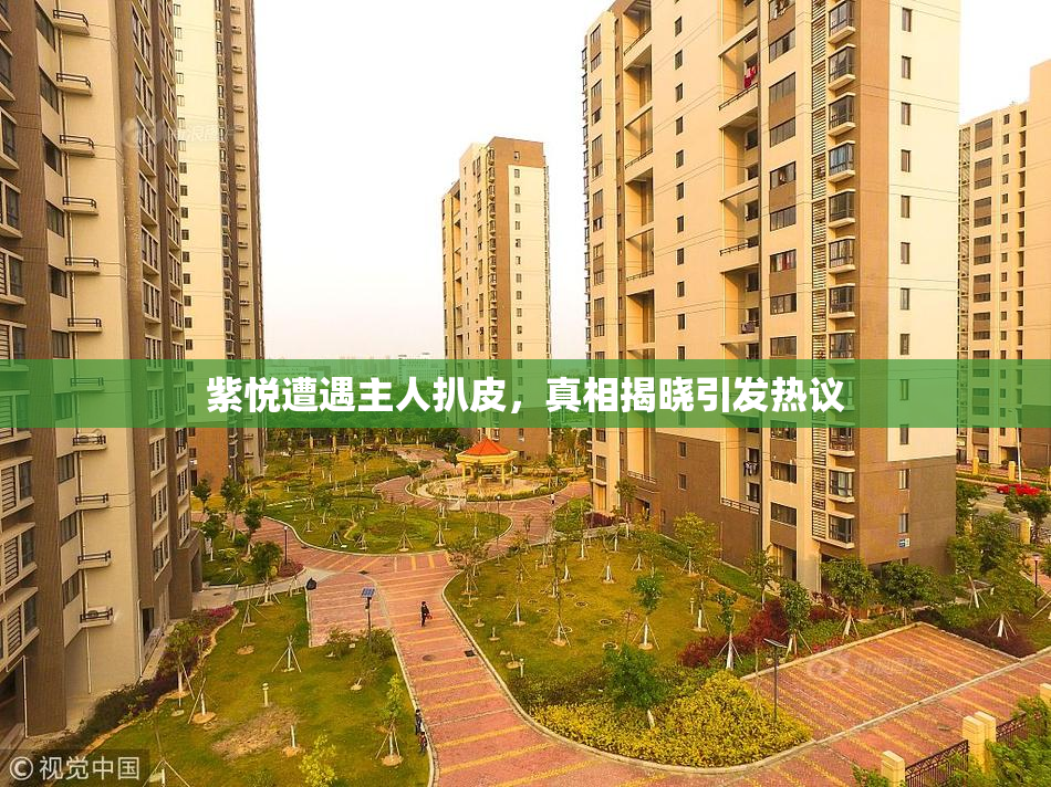 紫悦遭遇主人扒皮，真相揭晓引发热议