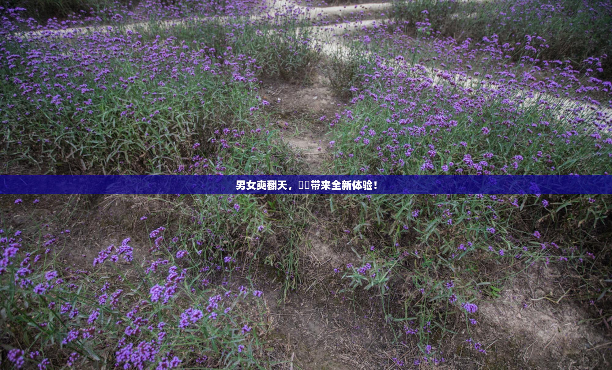 男女爽翻天，❌‌带来全新体验！