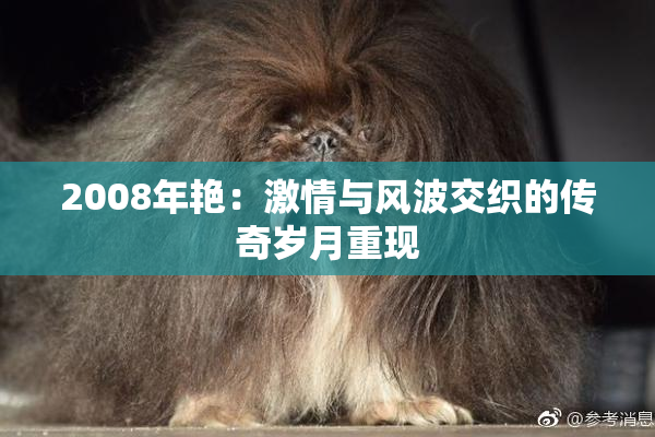 2008年艳：激情与风波交织的传奇岁月重现