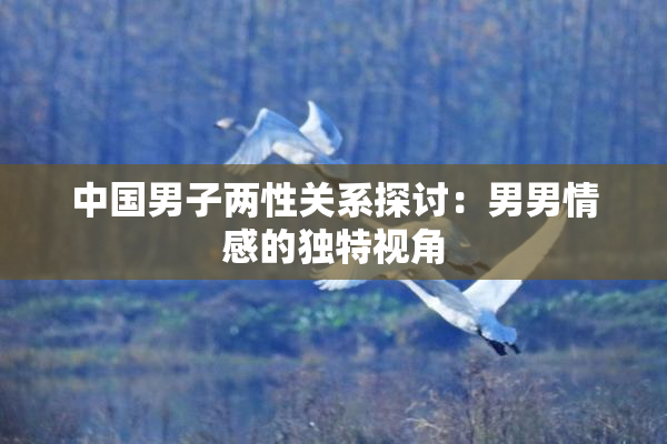 中国男子两性关系探讨：男男情感的独特视角