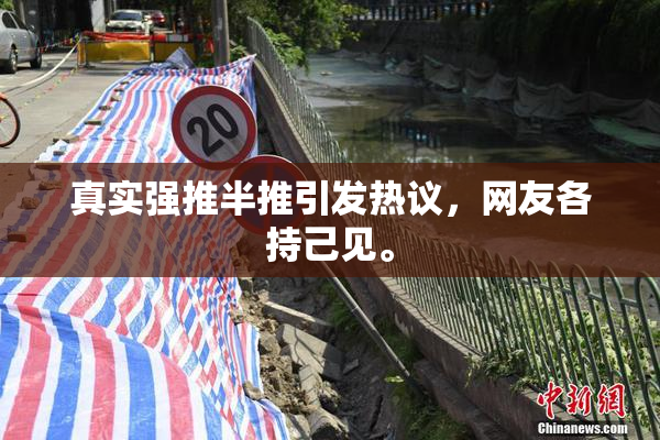 真实强推半推引发热议，网友各持己见。