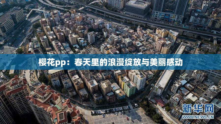樱花pp：春天里的浪漫绽放与美丽感动