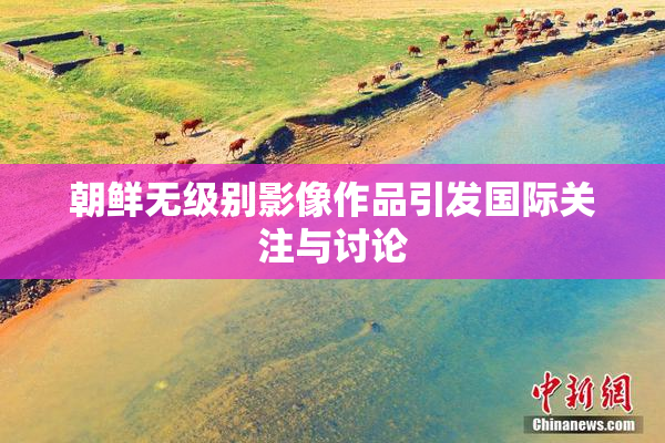朝鲜无级别影像作品引发国际关注与讨论