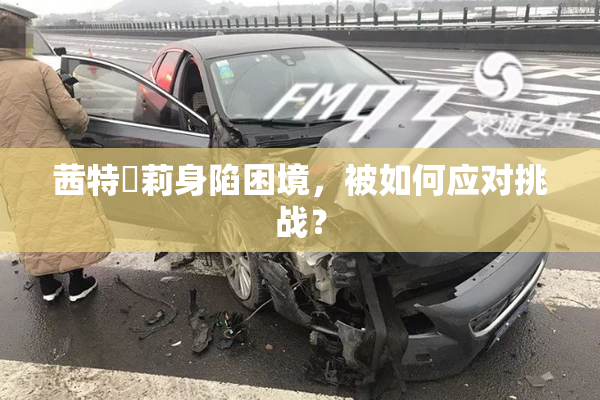 茜特菈莉身陷困境，被如何应对挑战？