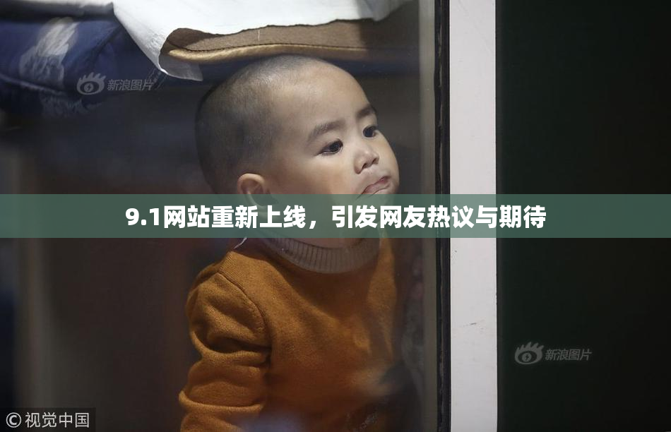9.1网站重新上线，引发网友热议与期待