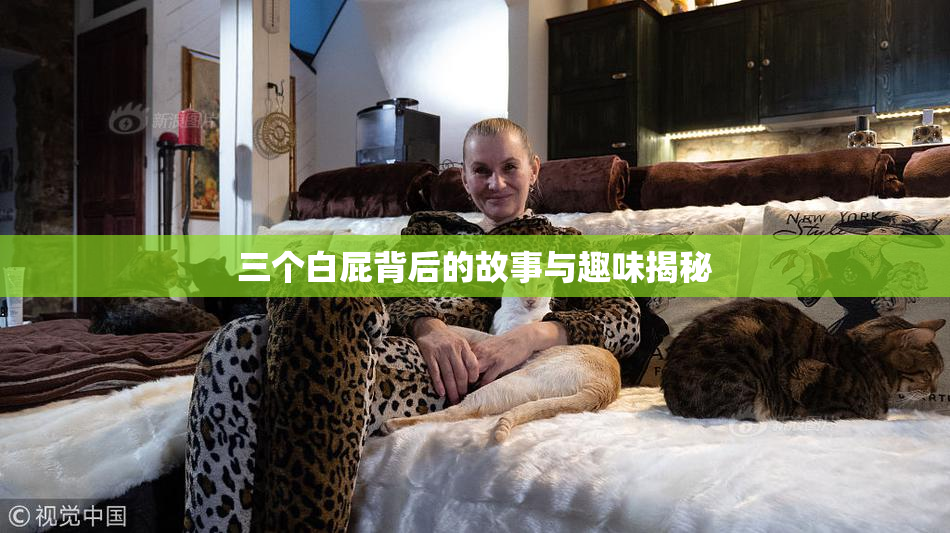 三个白屁背后的故事与趣味揭秘