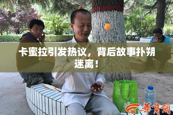 卡蜜拉引发热议，背后故事扑朔迷离！