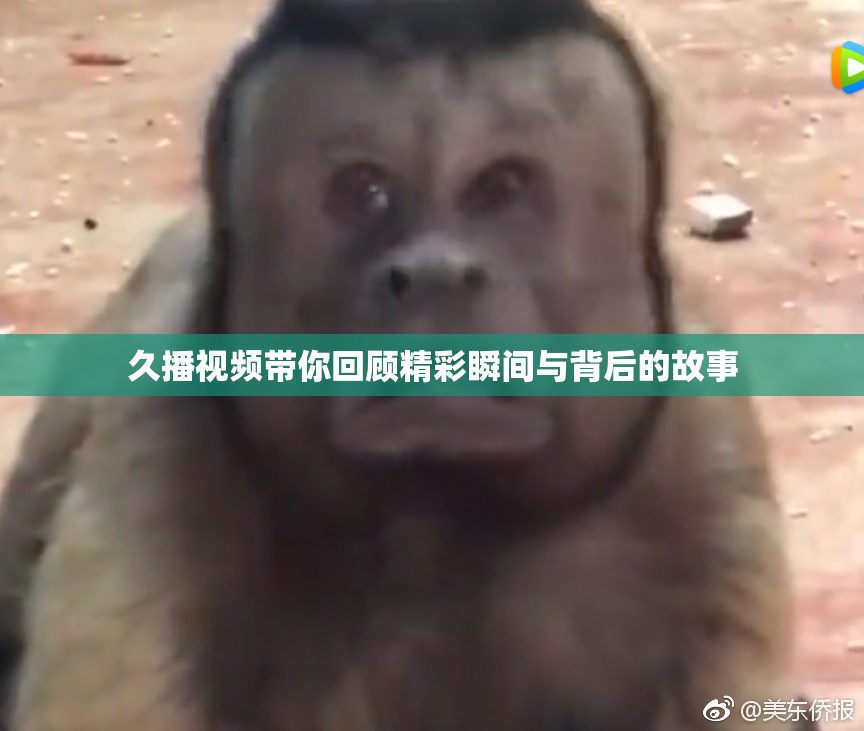 久播视频带你回顾精彩瞬间与背后的故事