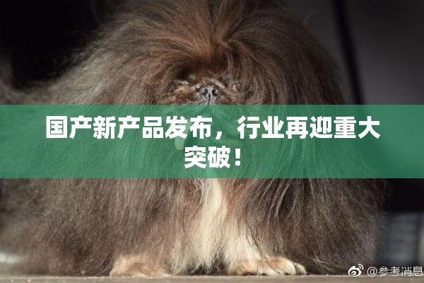 国产新产品发布，行业再迎重大突破！