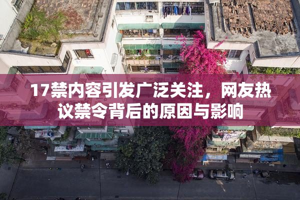 17禁内容引发广泛关注，网友热议禁令背后的原因与影响