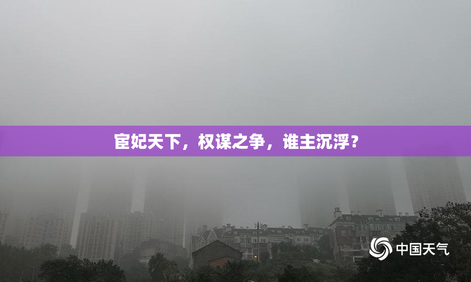 宦妃天下，权谋之争，谁主沉浮？
