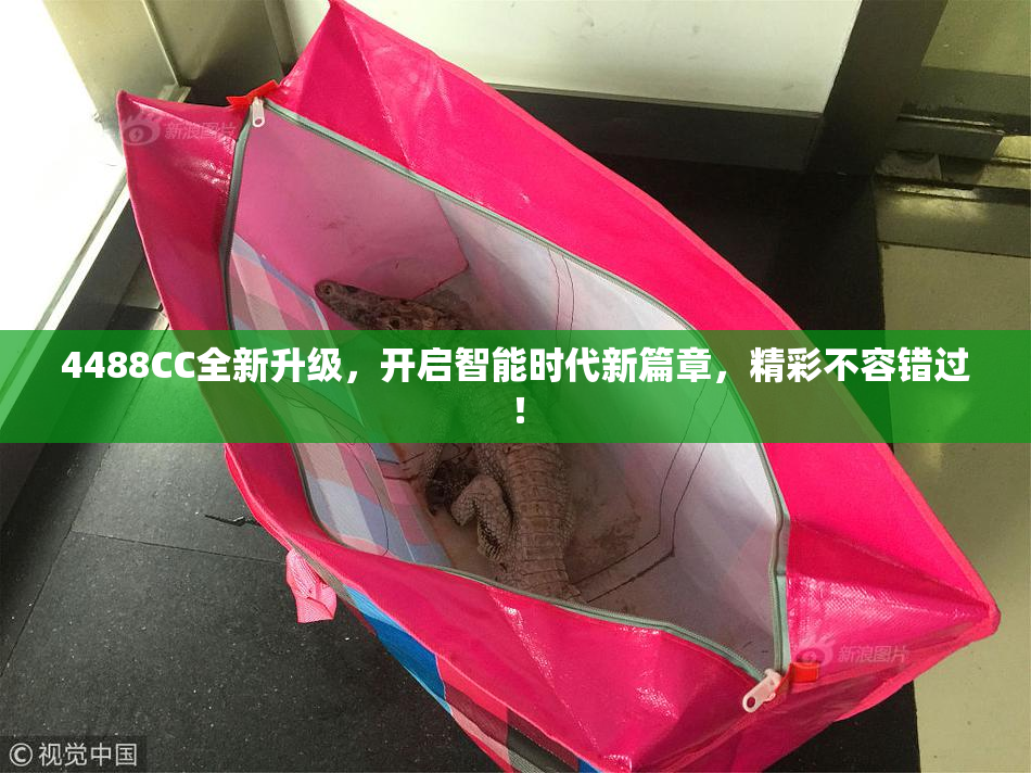 4488CC全新升级，开启智能时代新篇章，精彩不容错过！