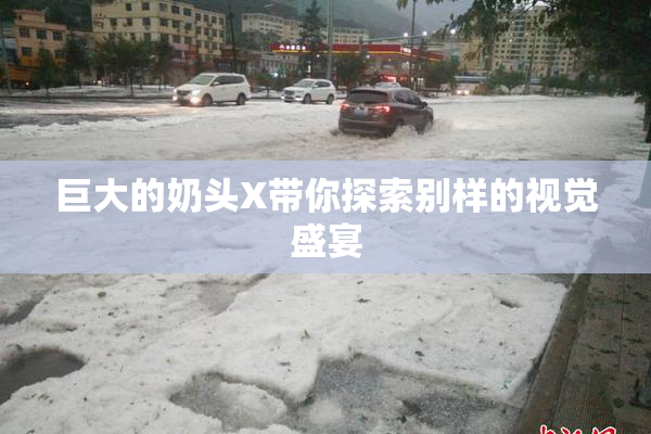 巨大的奶头X带你探索别样的视觉盛宴