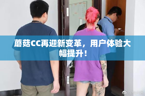 蘑菇CC再迎新变革，用户体验大幅提升！
