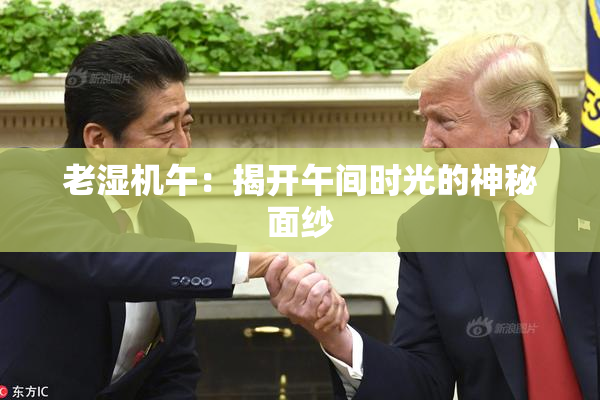 老湿机午：揭开午间时光的神秘面纱